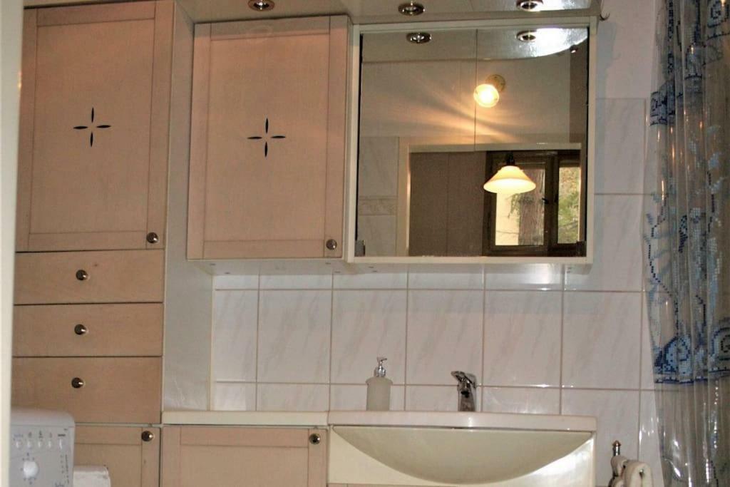 70M² Grosses Apartment Mit Gartenzugang Vienne Extérieur photo