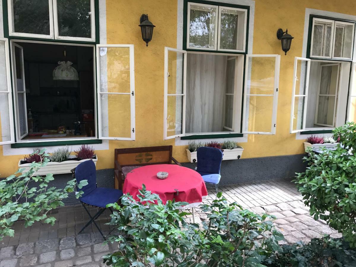 70M² Grosses Apartment Mit Gartenzugang Vienne Extérieur photo
